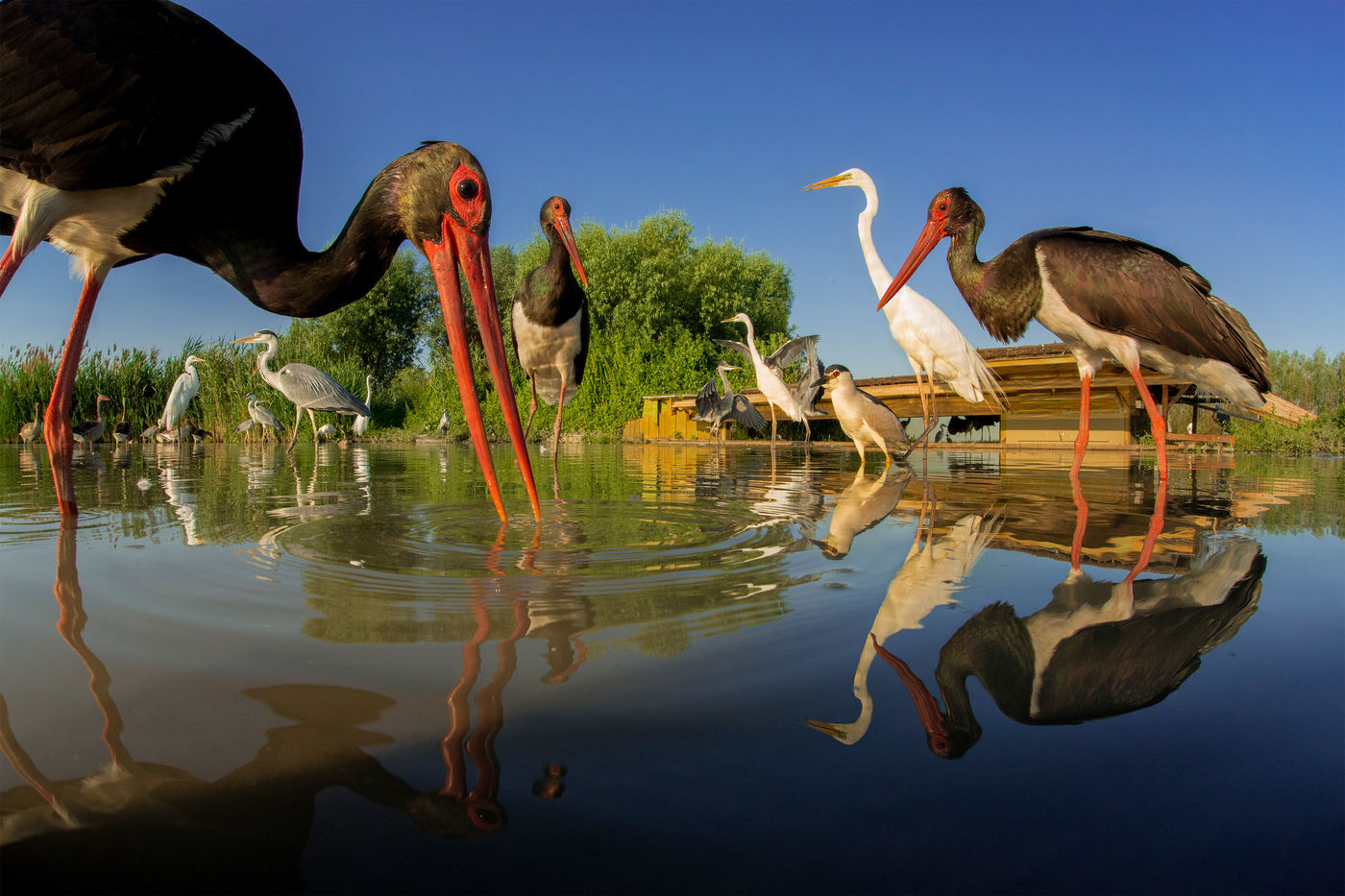 Concours de pêche © Bence Maté