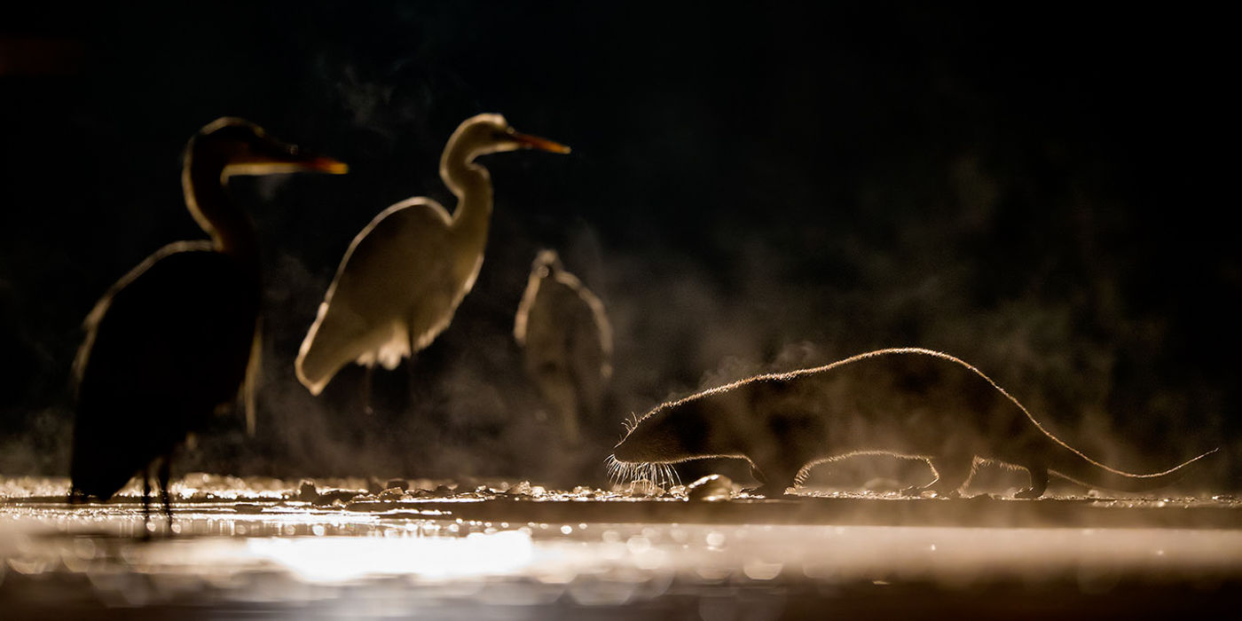 Een bende vissers, de één al hariger dan de ander... © Bence Máté