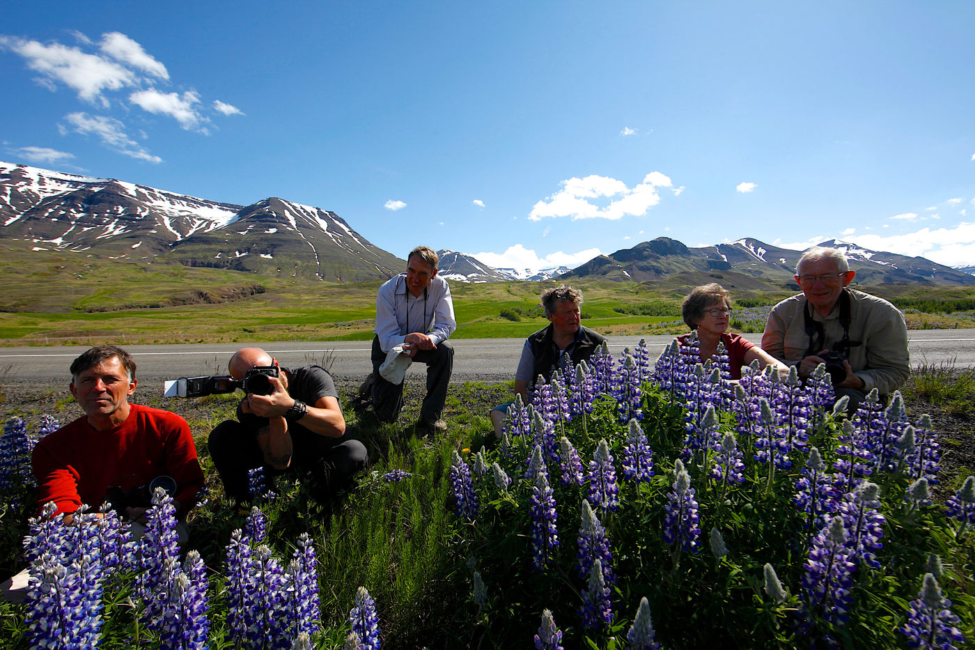 De groep staat stil bij enkele nootka lupins, een lupine soort die oorspronkelijk uit Noord-Amerika stamt. © Johan Verbanck