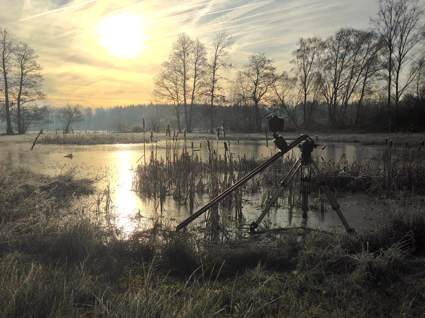 De eerste vorst in het najaar heeft heel wat te bieden wat betreft kansen voor timelapsefilmpjes. © Frank Resseler