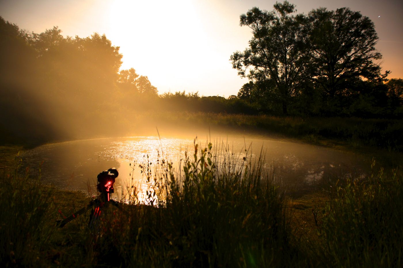 Een poel baadt in het warme ochtendlicht. © Frank Resseler