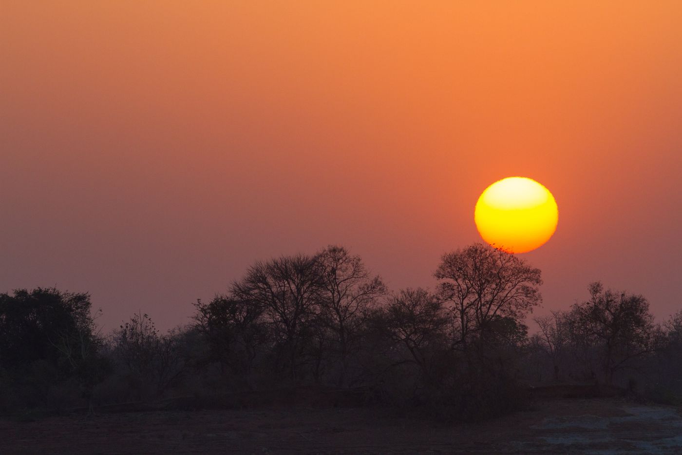 De zon gaat onder boven de warme savanne. © Kristof Goemaere
