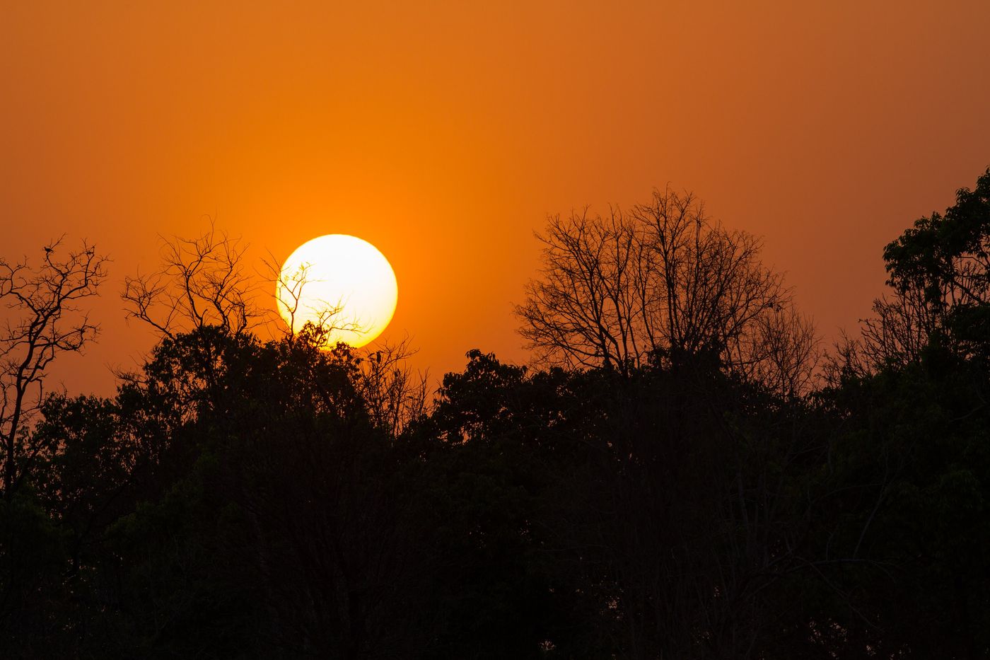 Zonsondergang boven het land van de tijgers. © Kristof Goemaere
