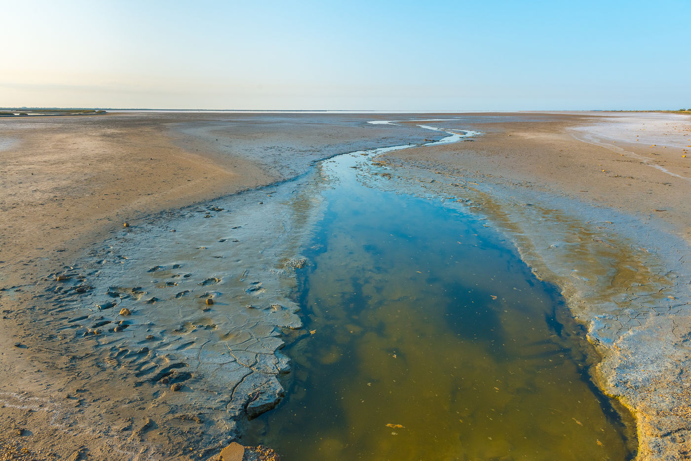 De zoutvlakten zijn een ideale trekpleister voor tal van steltlopers. © Jeffrey Van Daele