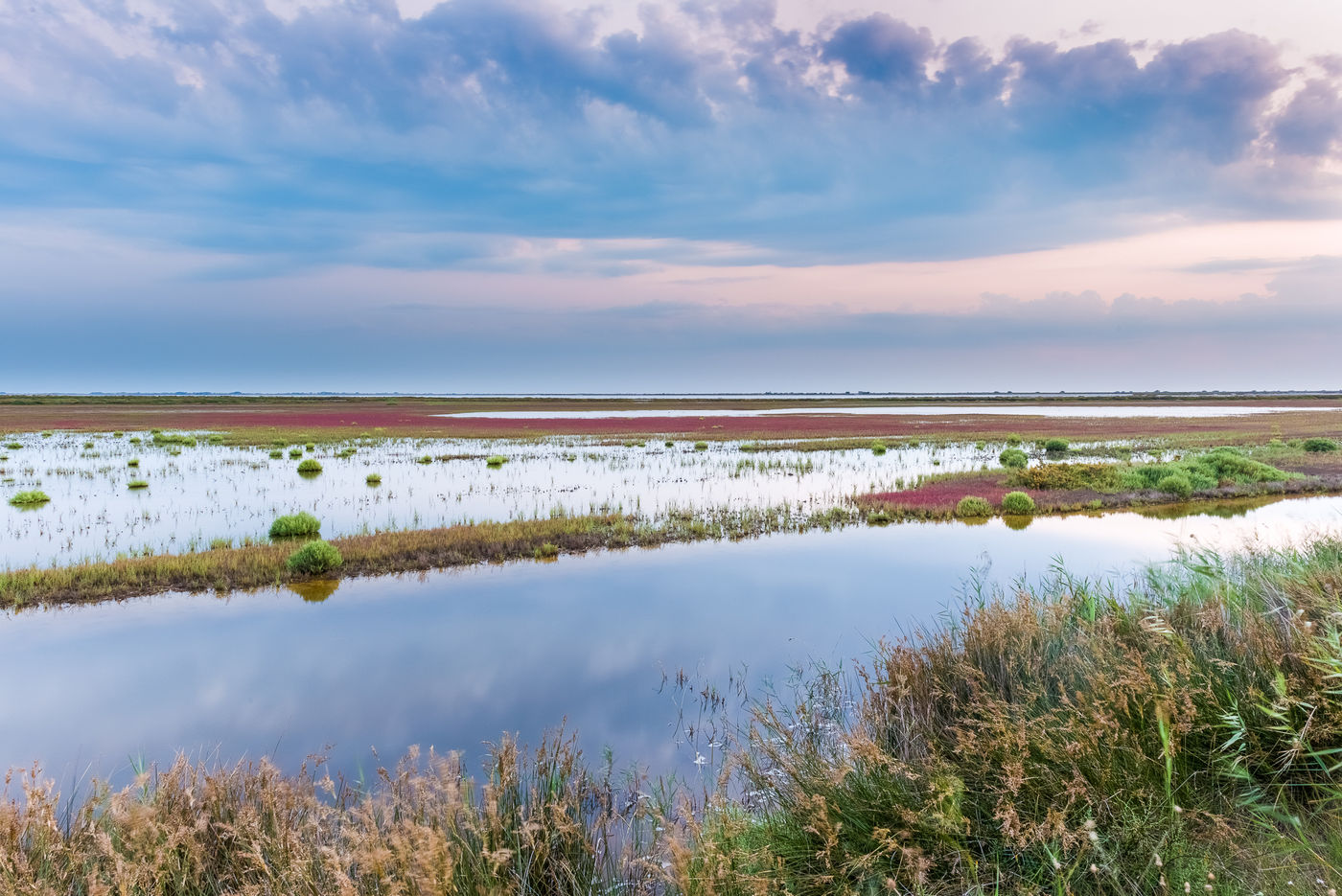 Een landschapsfoto van een van de typische wetlands in de Camargue. © Jeffrey Van Daele