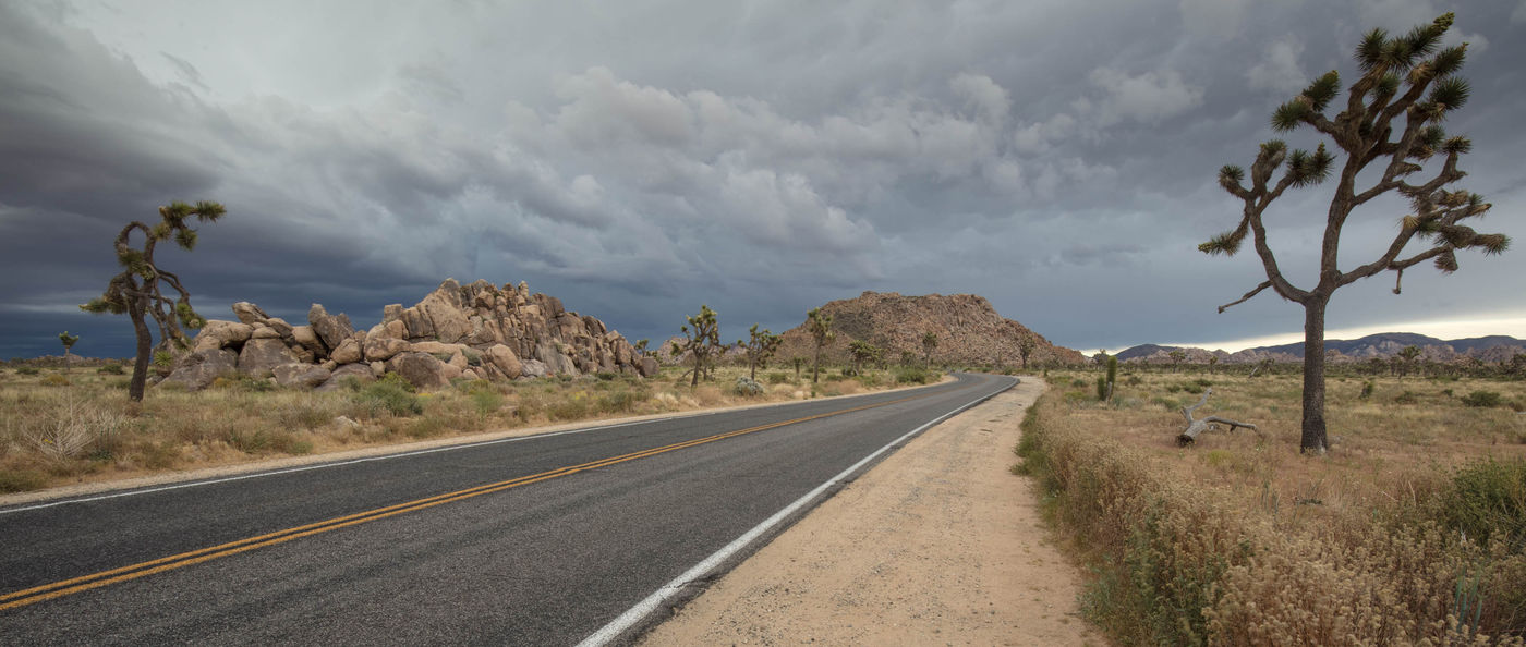 Het landschap in Joshua Tree National Park. © Iwan Lewylle