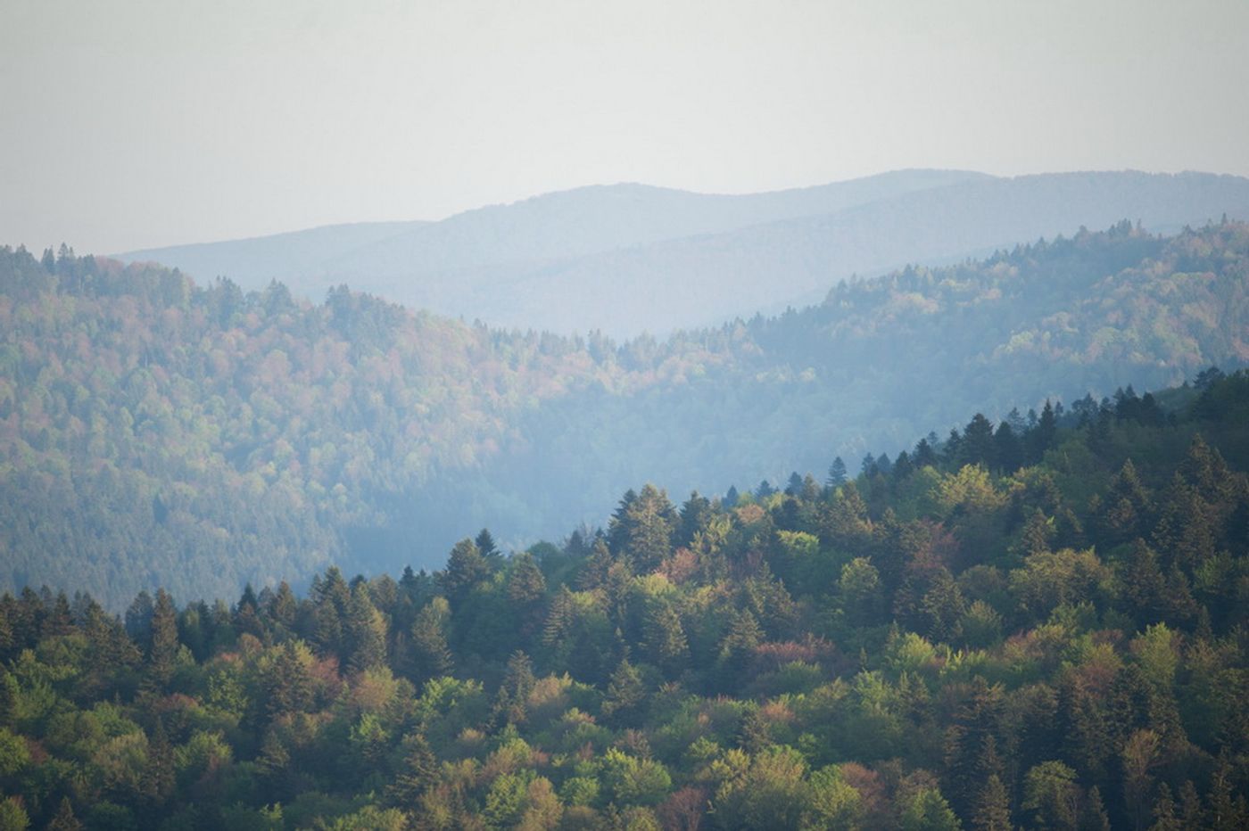 Biesczady in de nazomer. © Karl Vanginderdeuren