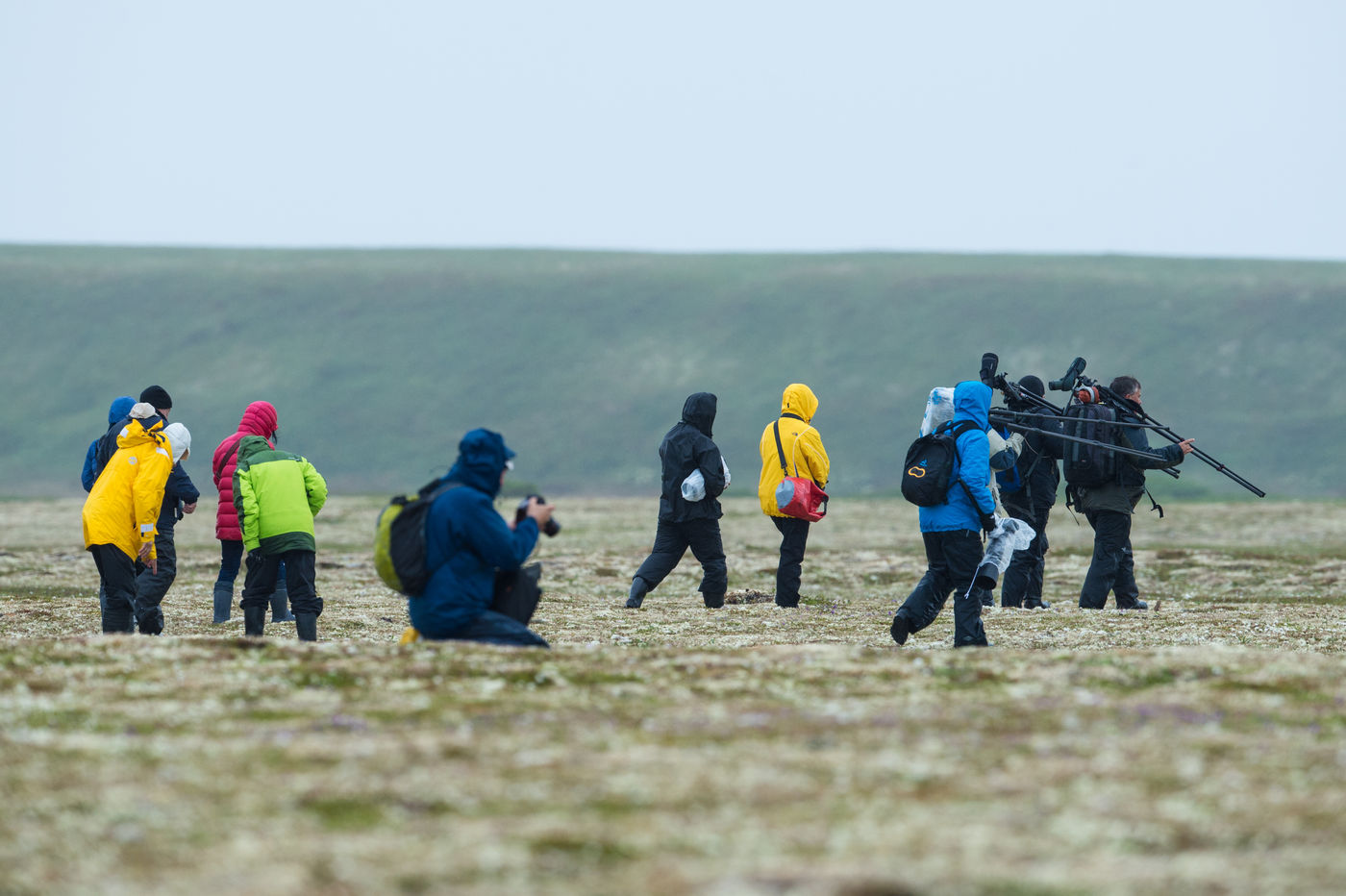 KamtchatkaBillyHerman (216 van 337) Op trektocht doorheen de toendra. © Billy Herman