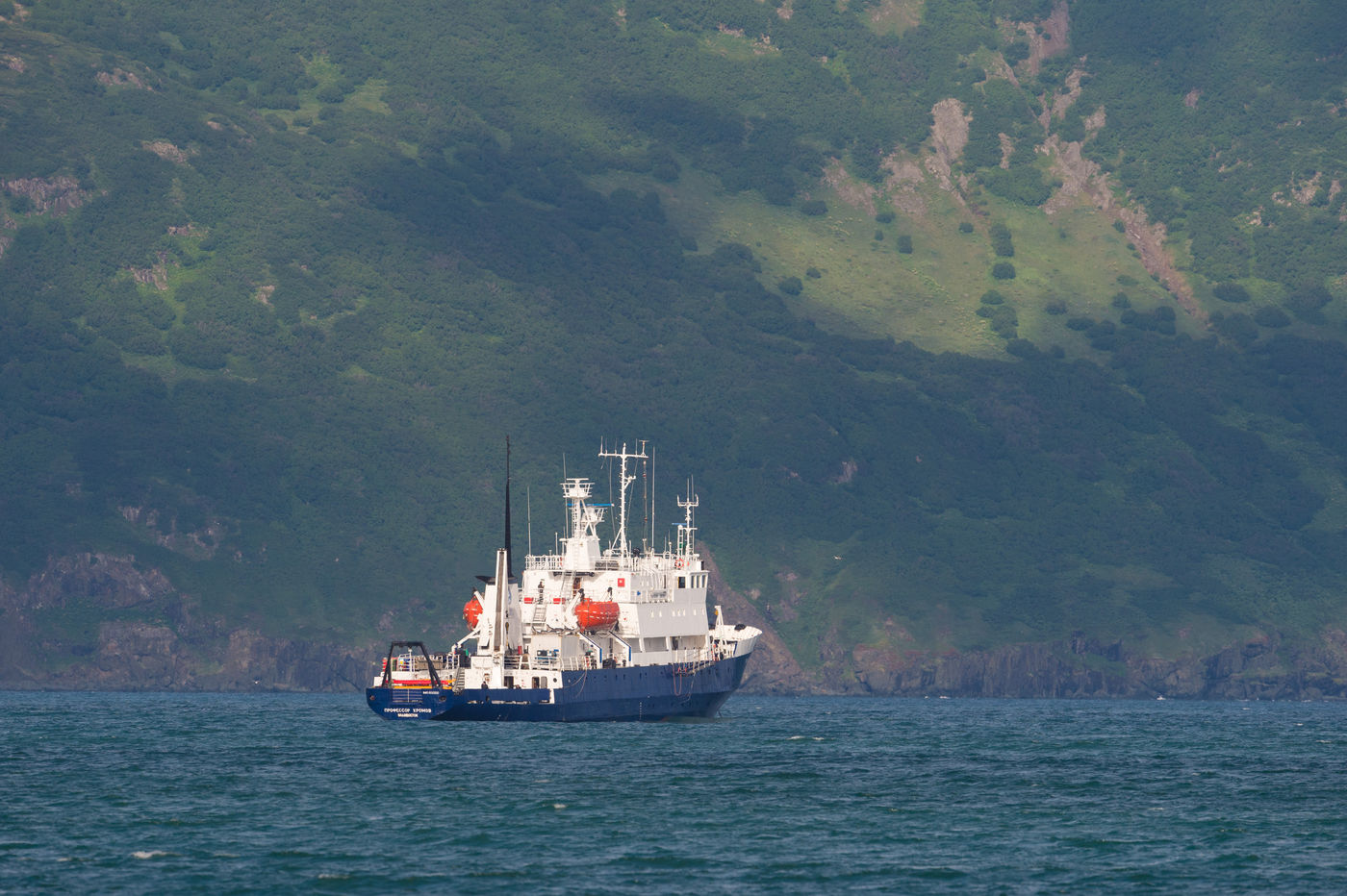 KamtchatkaBillyHerman (278 van 337) Aan de kust treffen we een weelderige begroeiing aan. © Billy Herman