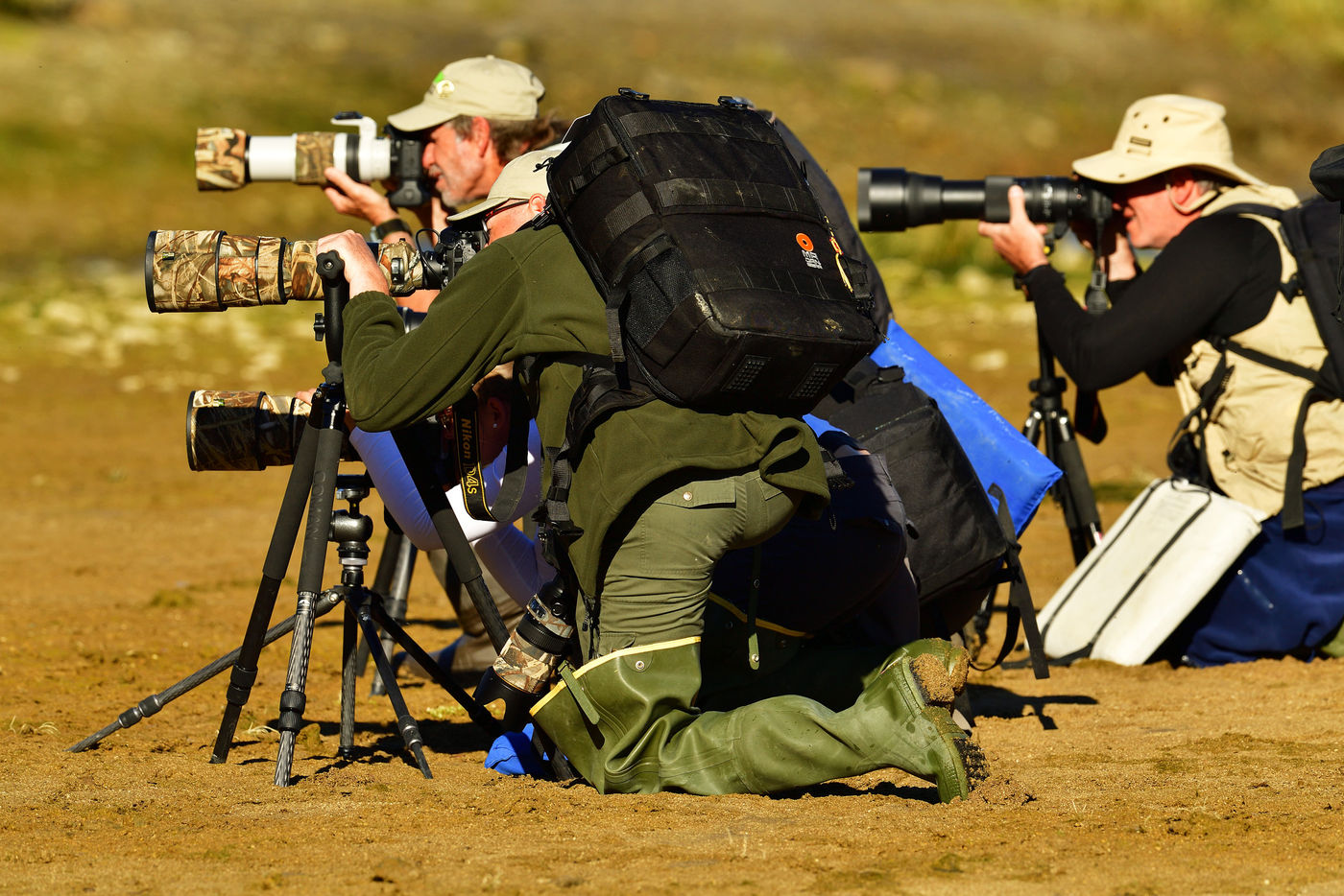 Katmai_Yves-Adams_USA-Alaska_2016_foto-photo_STARLING_reizen-tours_AY3-3884-20160831-4041 Groep fotografen in actie. © Yves Adams