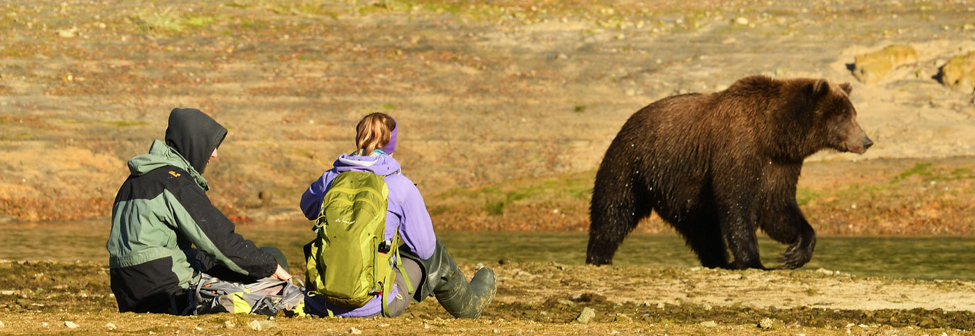 Katmai_Yves-Adams_USA-Alaska_2016_foto-photo_STARLING_reizen-tours_AY3-7036-20160831-4045 Rustig blijven en deel uitmaken van dit unieke schouwspel. © Yves Adams