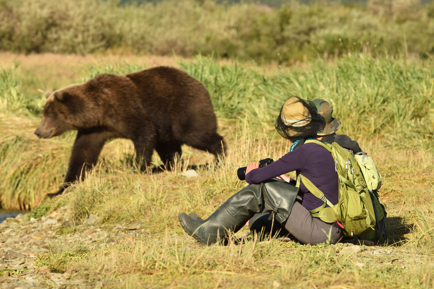 Katmai_Yves-Adams_USA-Alaska_2016_foto-photo_STARLING_reizen-tours_Y84-1297-20160902-4056 Een grizzly loopt langs enkele deelnemers. © Yves Adams