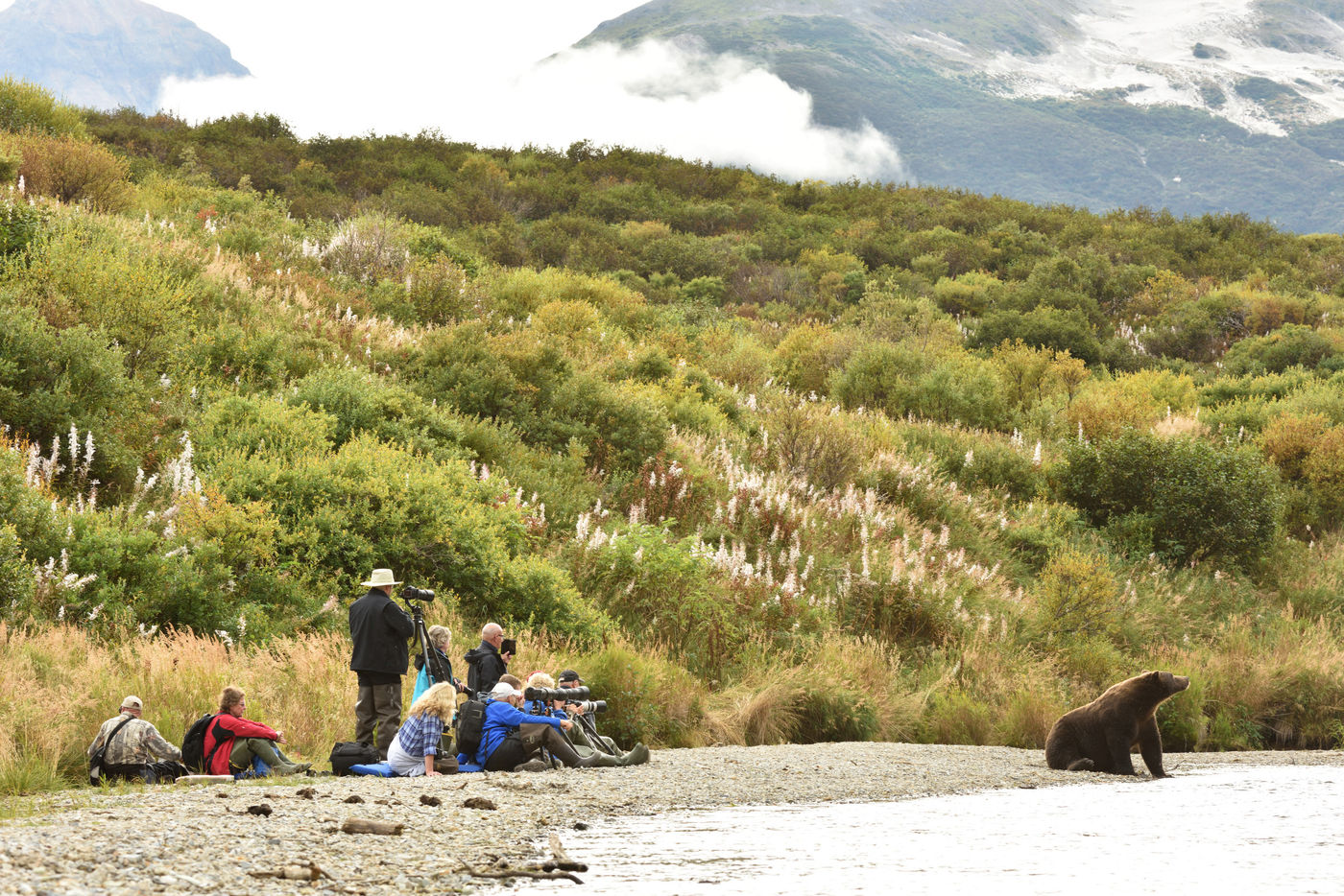 Katmai_Yves-Adams_USA-Alaska_2016_foto-photo_STARLING_reizen-tours_Y84-2425-20160903-4066 Een beer wordt op de gevoelige plaat vastgelegd. © Yves Adams