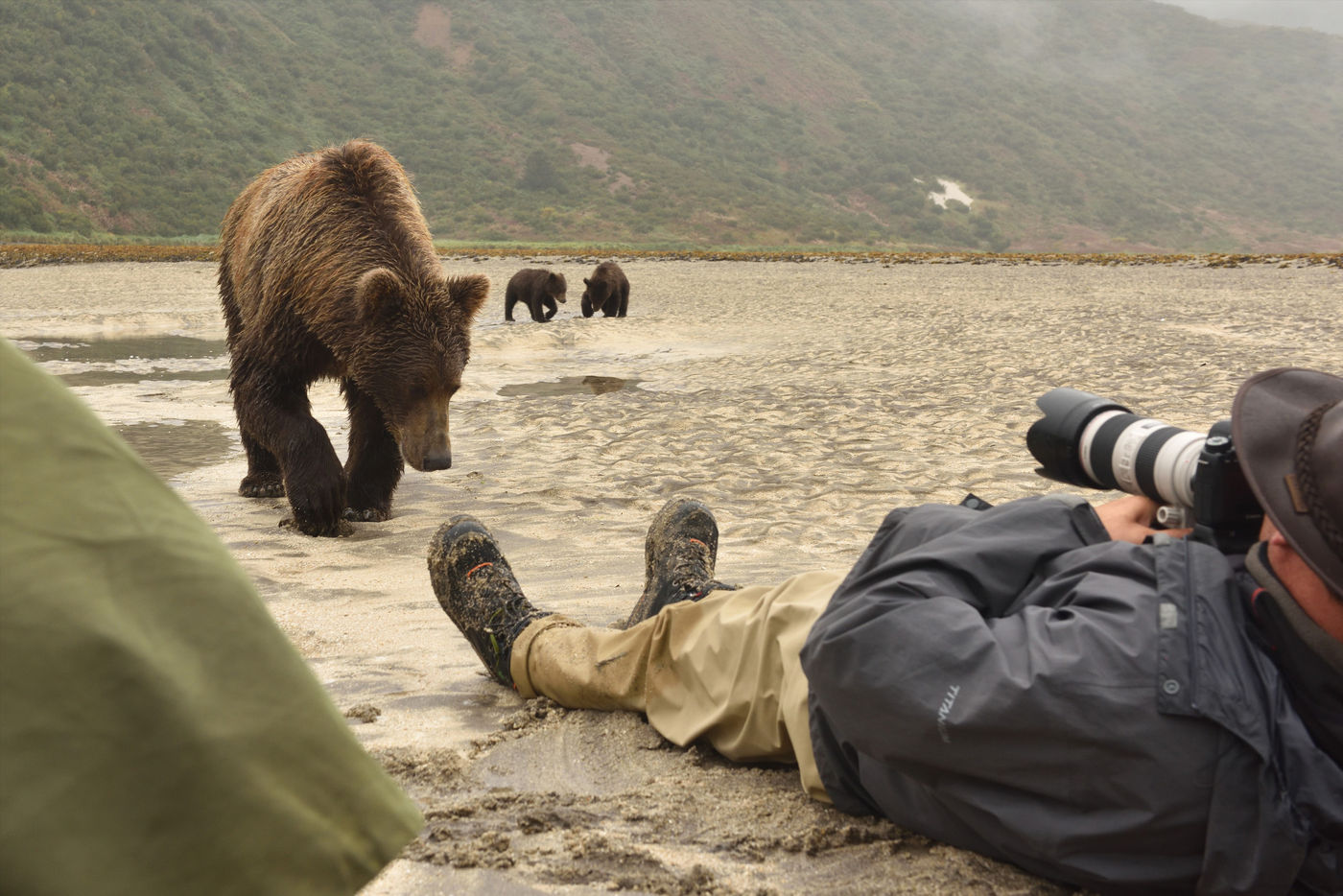 Katmai_Yves-Adams_USA-Alaska_2016_foto-photo_STARLING_reizen-tours_Y84-3196-20160904-4079 Het is niet altijd gemakkelijk om de beren helemaal in beeld te krijgen. © Yves Adams