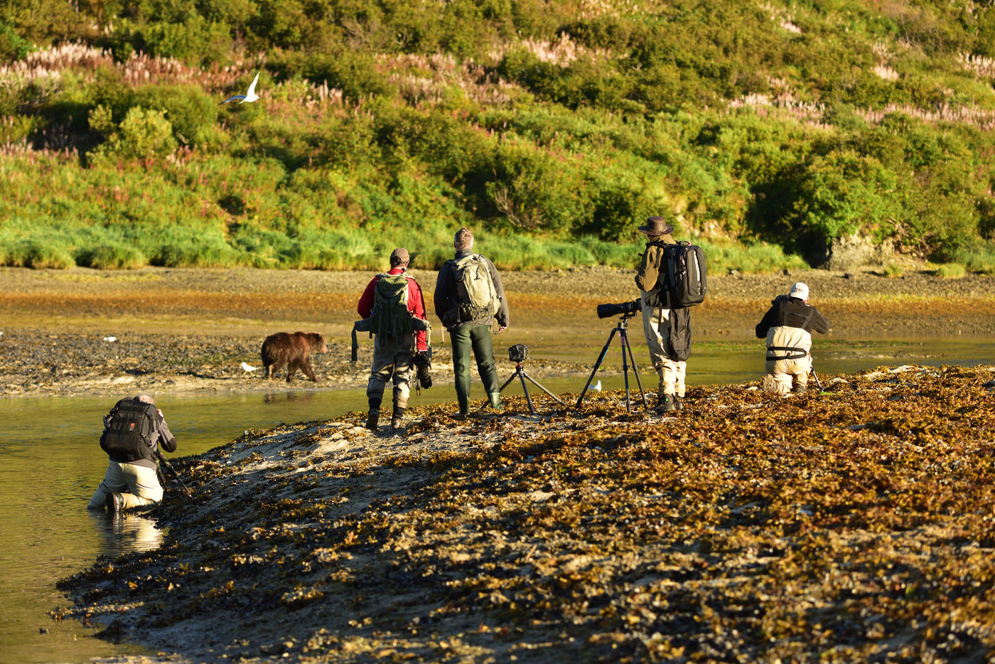 Katmai_Yves-Adams_USA-Alaska_2016_foto-photo_STARLING_reizen-tours_Y84-9775-20160831-4098 Fotografen aan de oever van een rivier in Katmai. © Yves Adams