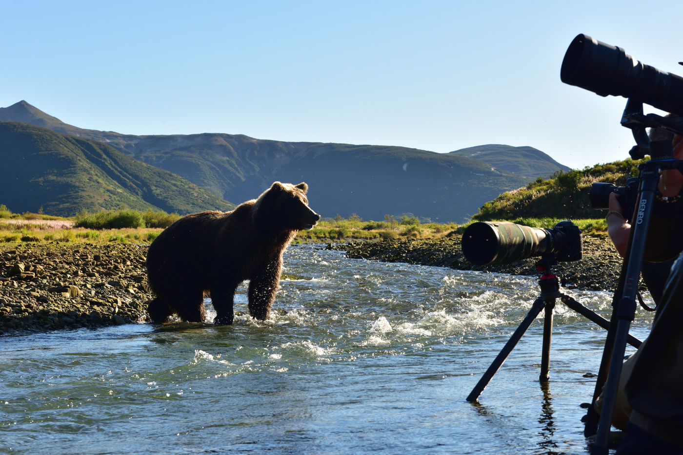 Katmai_Yves-Adams_USA-Alaska_2016_foto-photo_STARLING_reizen-tours_Y84-9891-20160831-4099 Soms moeten de statieven even verlaten worden... © Yves Adams
