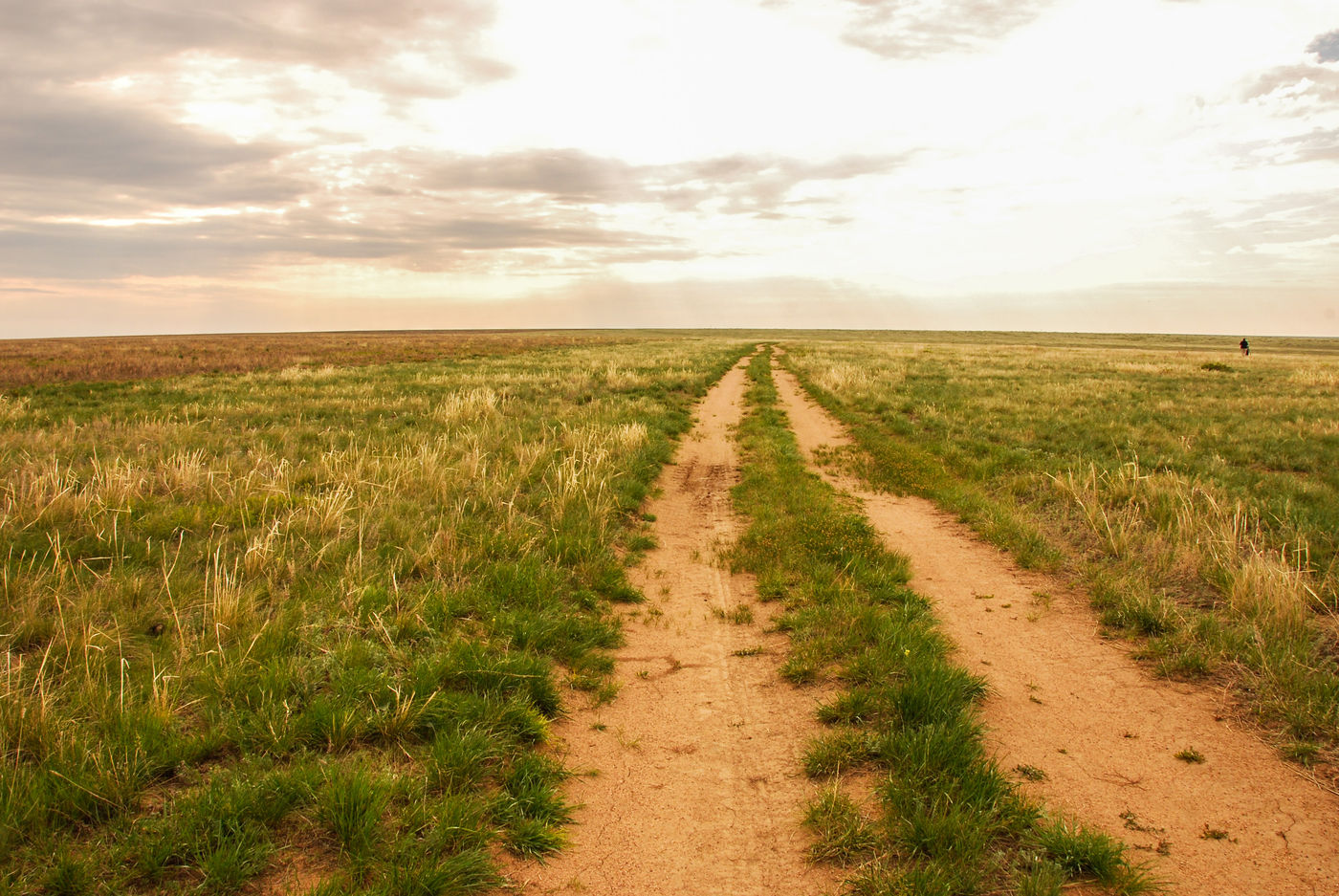 Een weg loopt door de ongerepte graslanden. © Machiel Valkenburg