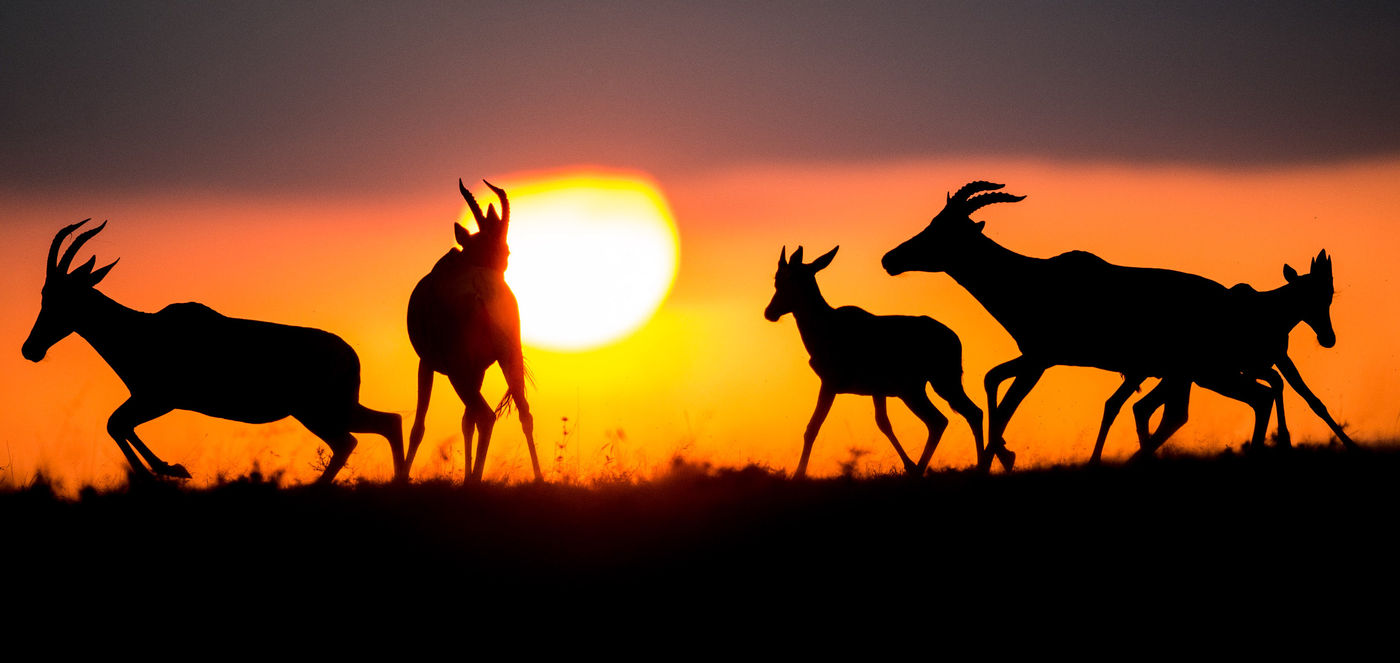 Zonsondergang op de savanne. © Billy Herman