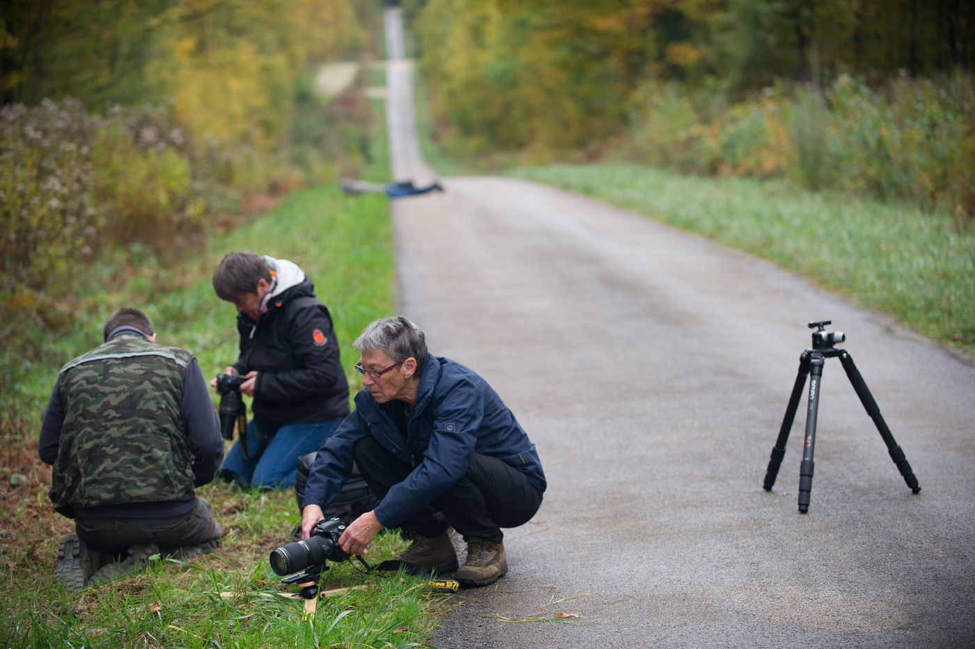 Er is zeker tijd om aan herfstfotografie te doen. © Billy Herman