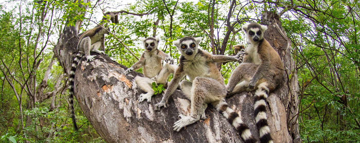 Ils sont très mignons, mais restent bien sûr des animaux sauvages. © Billy Herman