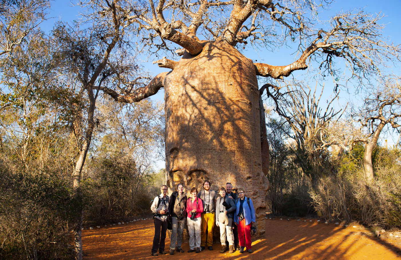Deze baobab leende zich uitstekend voor een groepsfoto! © Samuel De Rycke