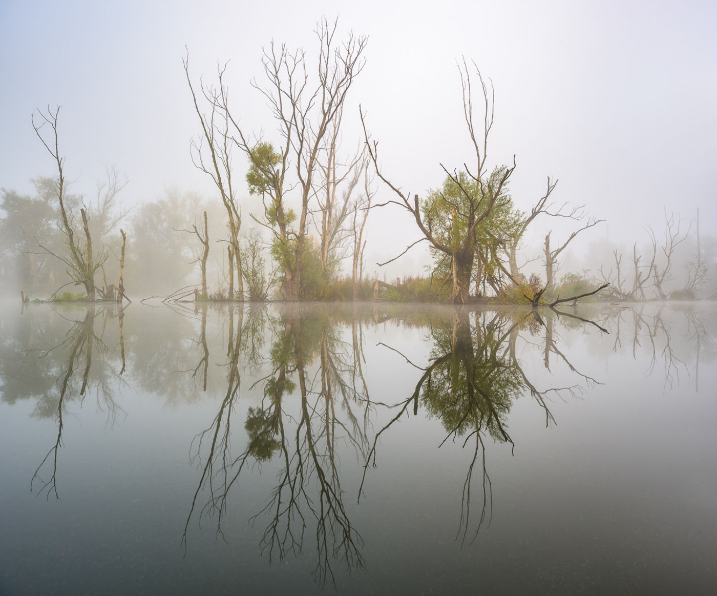 ©Bart Heirweg