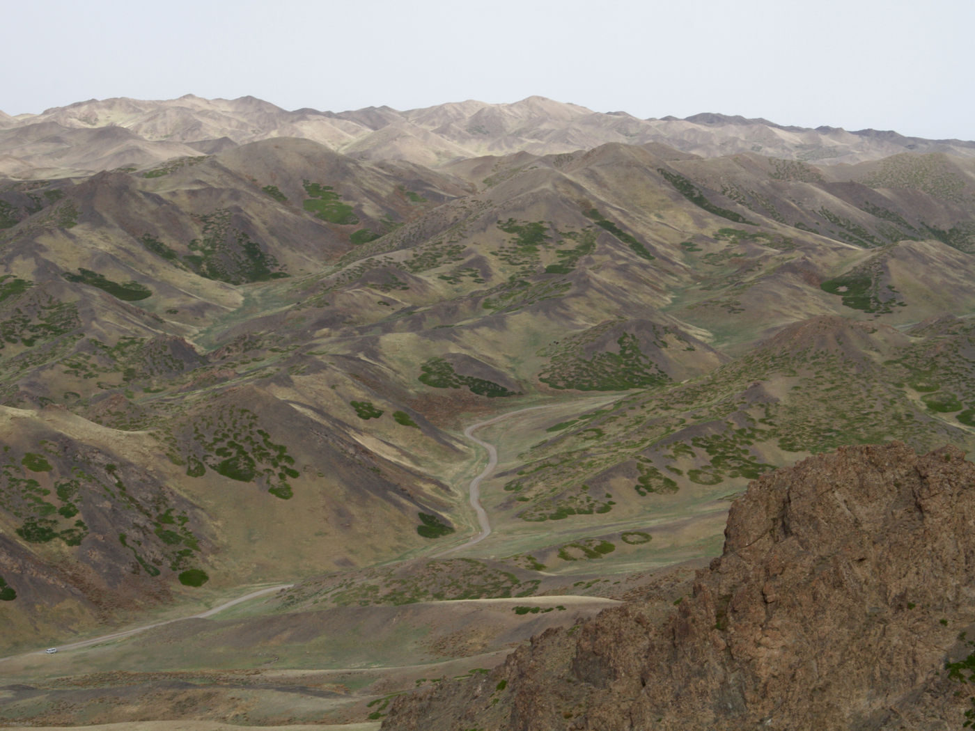 Green patches of forest cover the mountains of Mongolia. © Geert Beckers