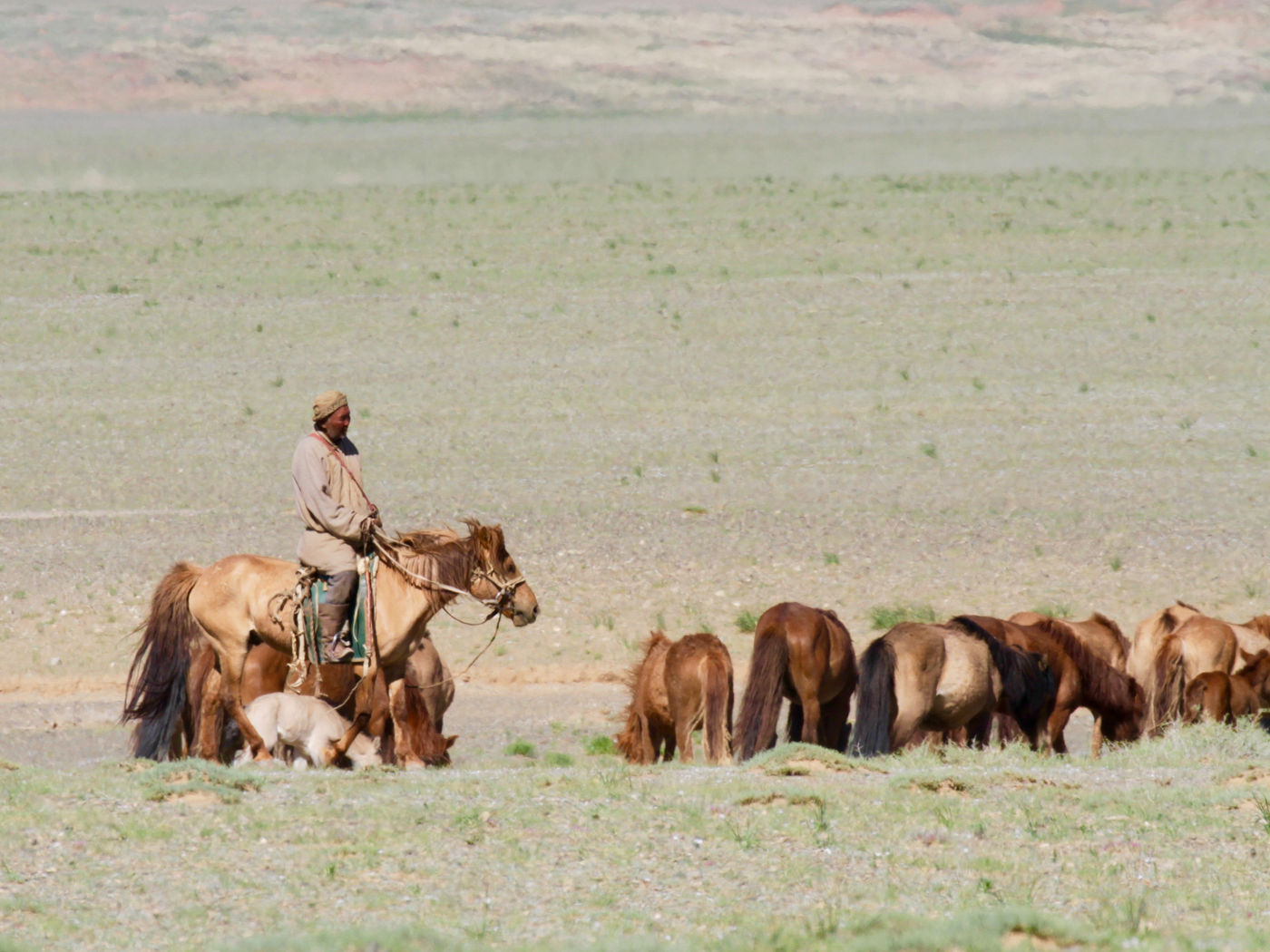 A shepherd amidst the dry plains © Geert Beckers