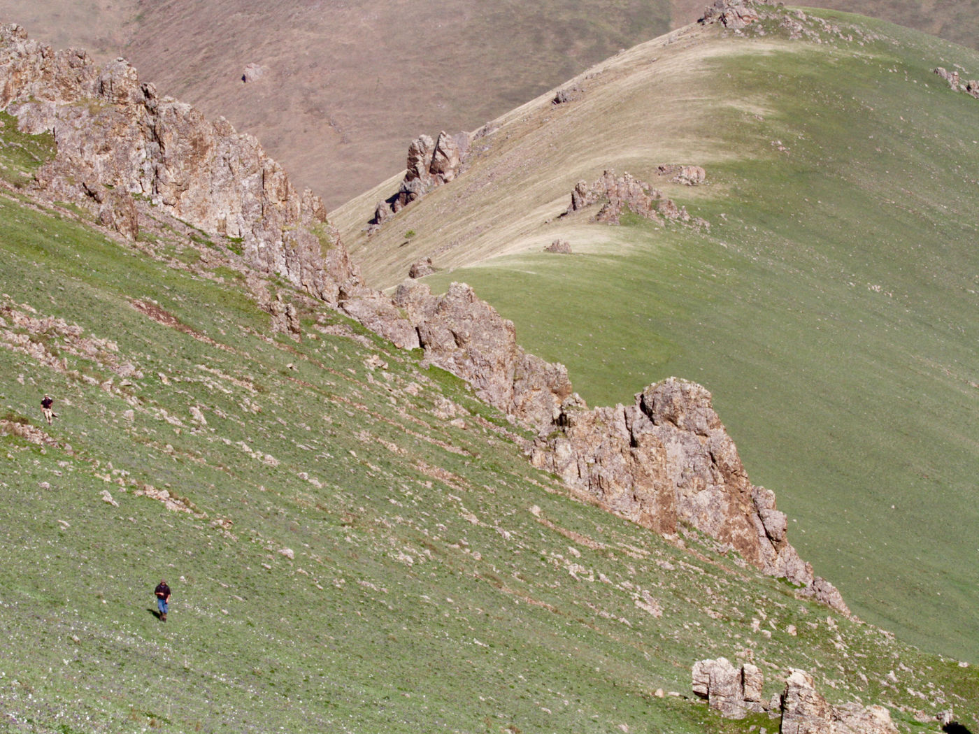 High ridges, the best habitat for a number of alpine species. © Geert Beckers