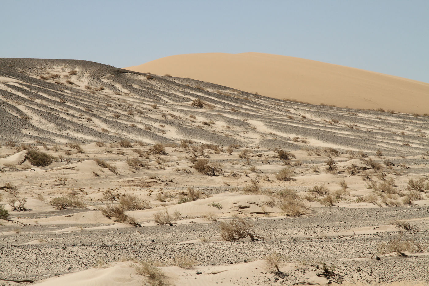 Basaltduinen zijn getuigen van de zomerdroogte in de Mongoolse steppe. © Maarten Jacobs