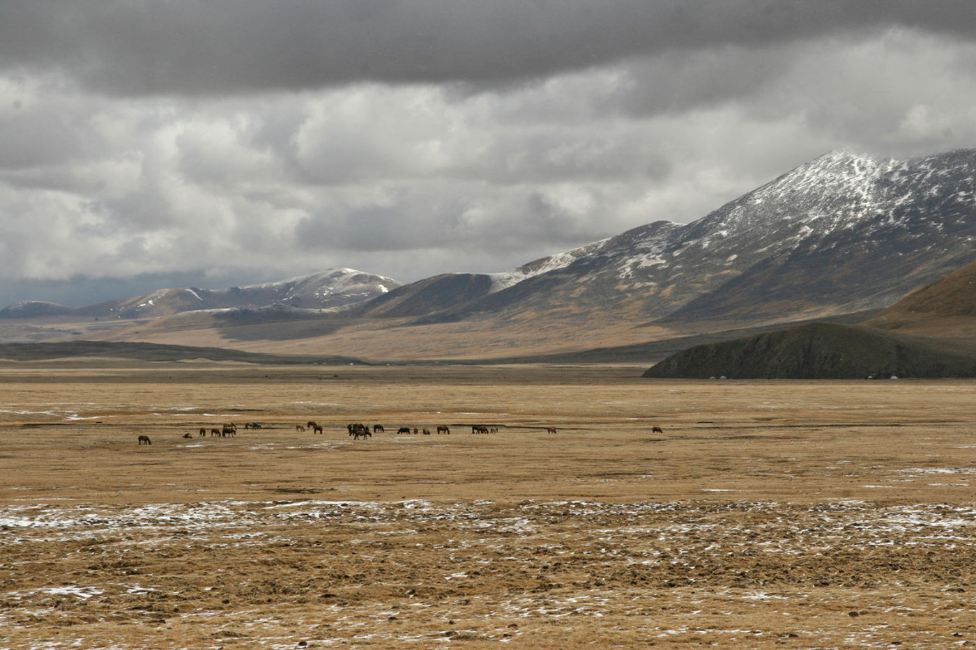 Seuls au monde, nous parcourons l'immensité des steppes... © Maarten Jacobs