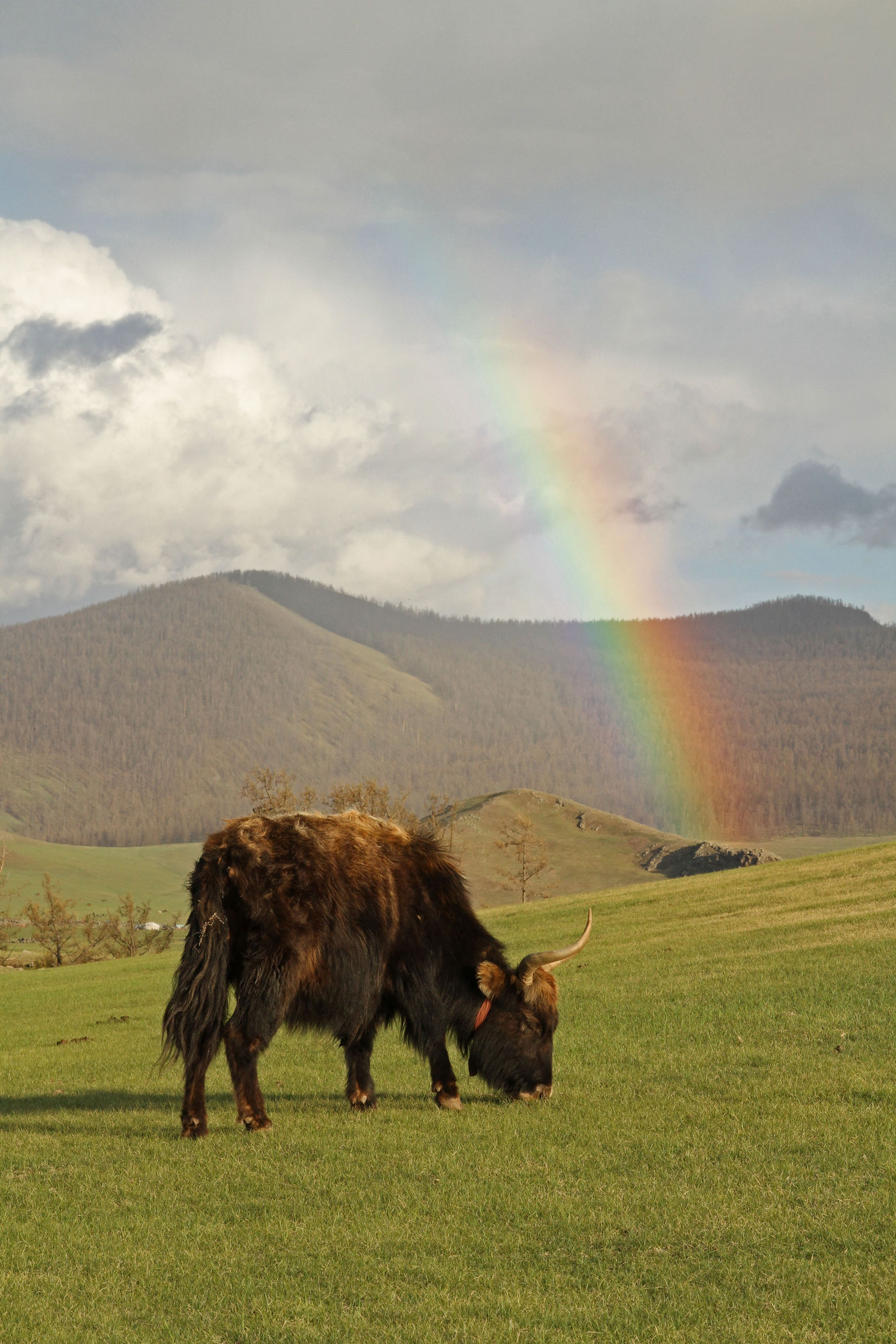 Aan het einde van de regenboog ... © Maarten Jacobs