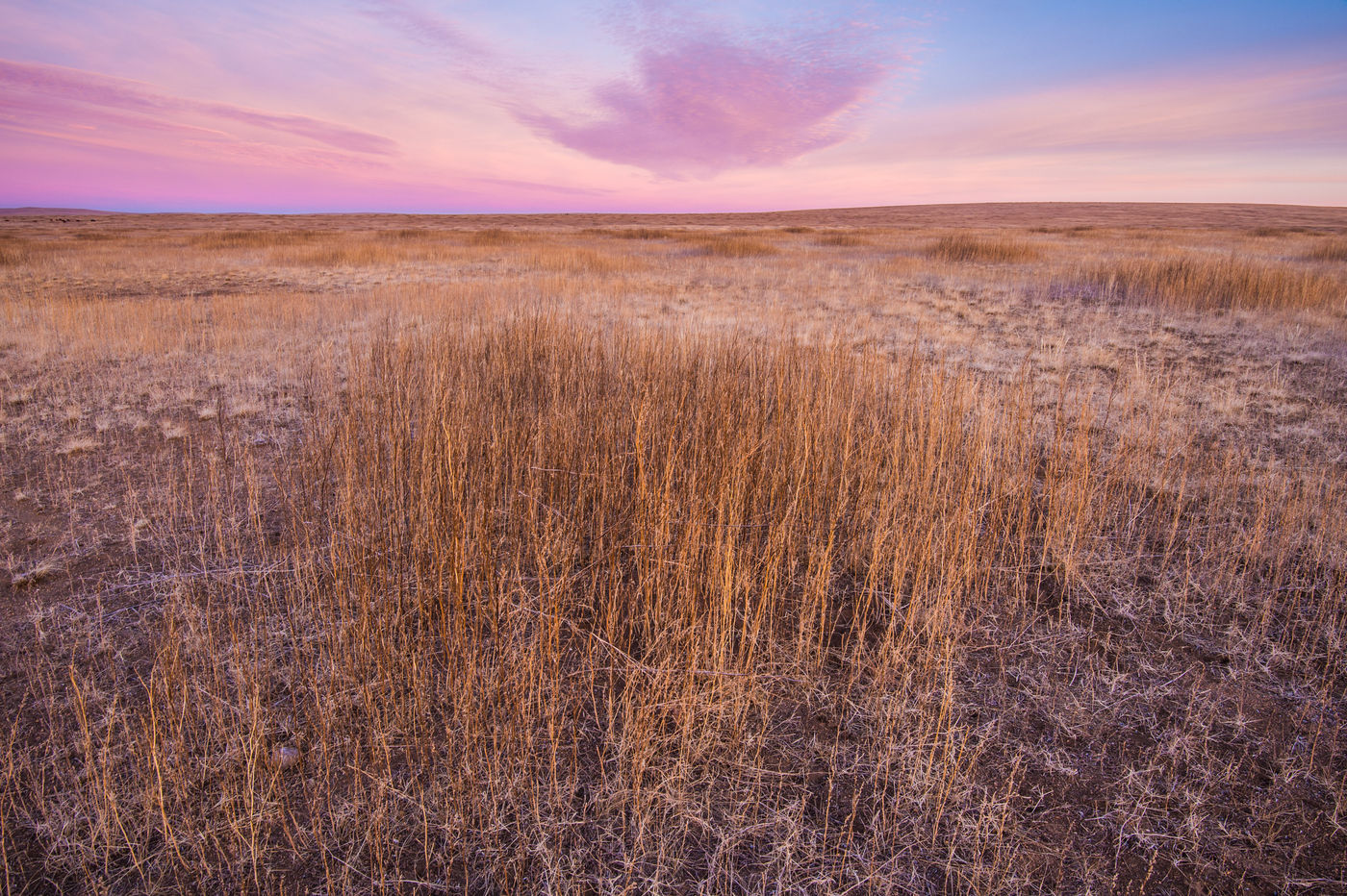 De steppe na een koude najaarsnacht. © Billy Herman