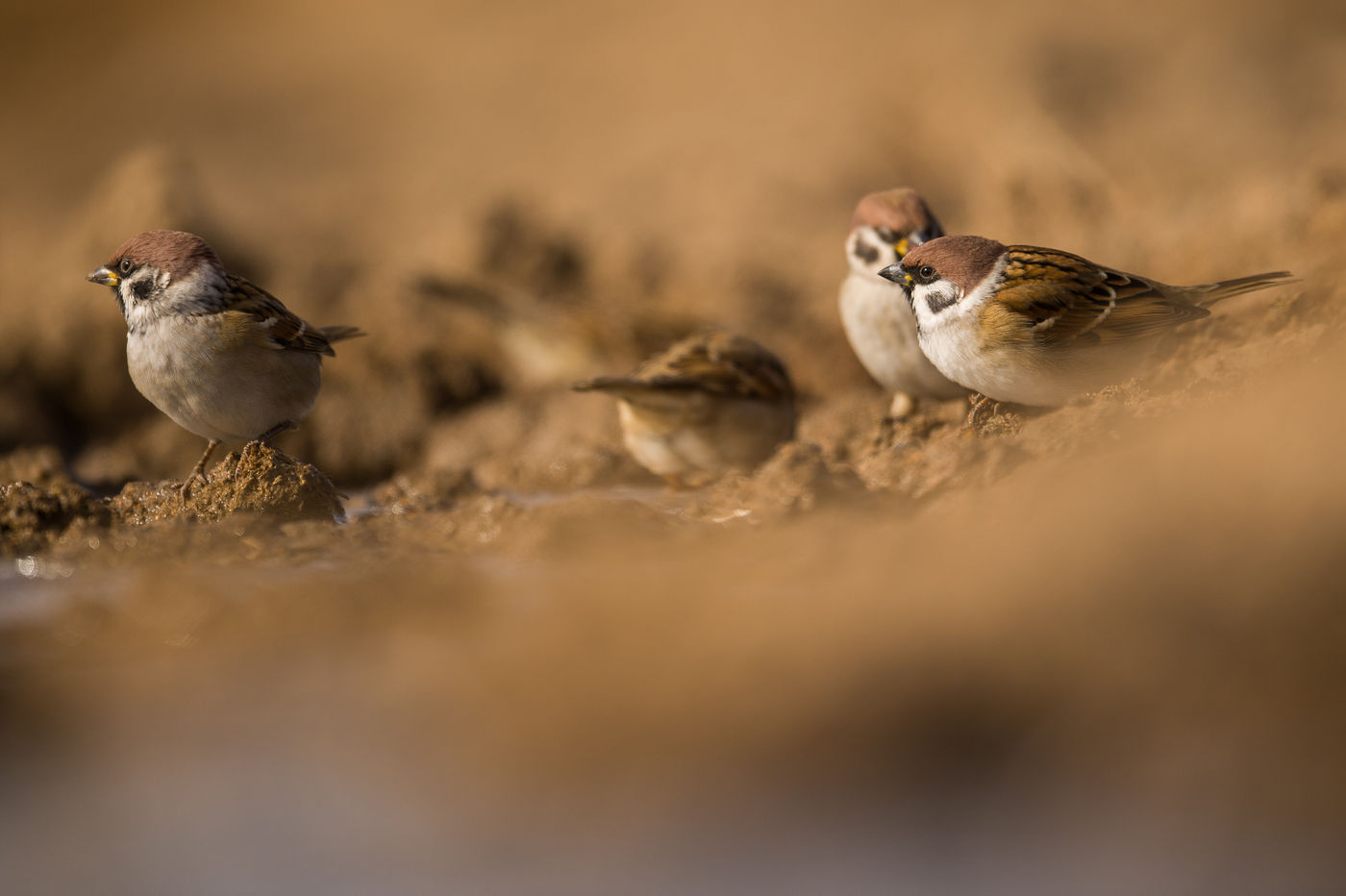 Il est important de s'hydrater par temps chaud ! © Billy Herman