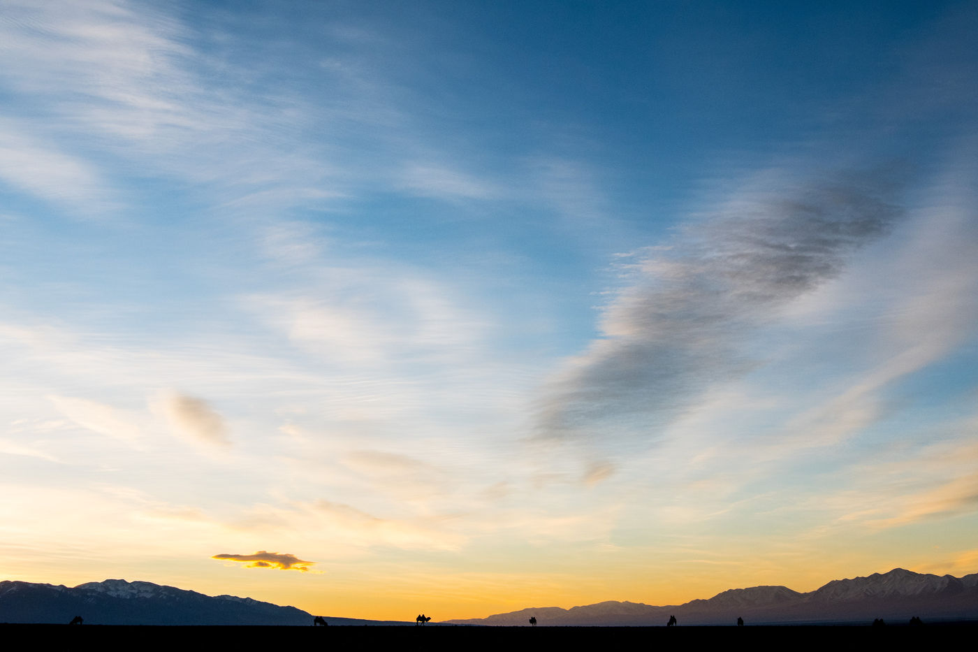 We genieten van een mooie zonsondergang met kamelen op de voorgrond. © Billy Herman