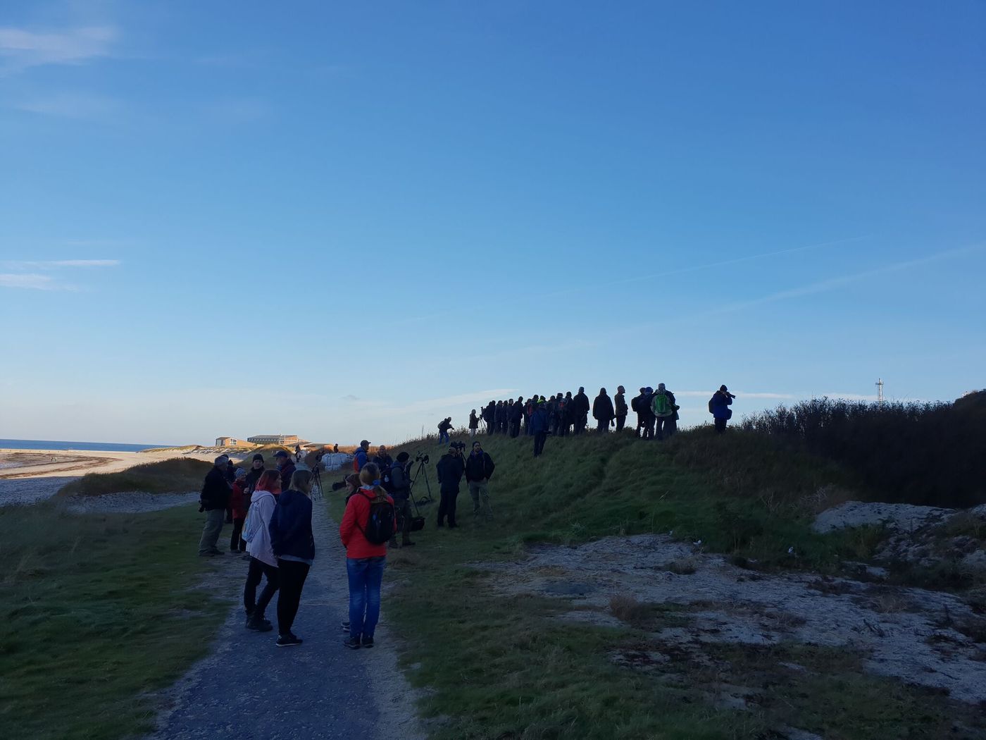 Foule d'ornithologues regroupée pour observer une rareté