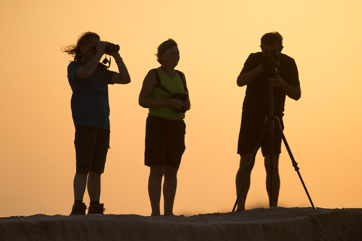 Les ornithologues scrutent les vasières au coucher du soleil. © Benny Cottele