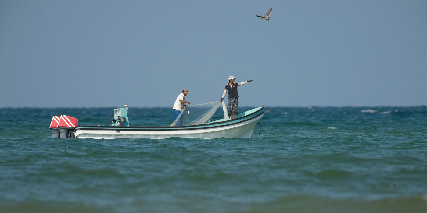 Des pêcheurs dans le golf persique. © Benny Cottele