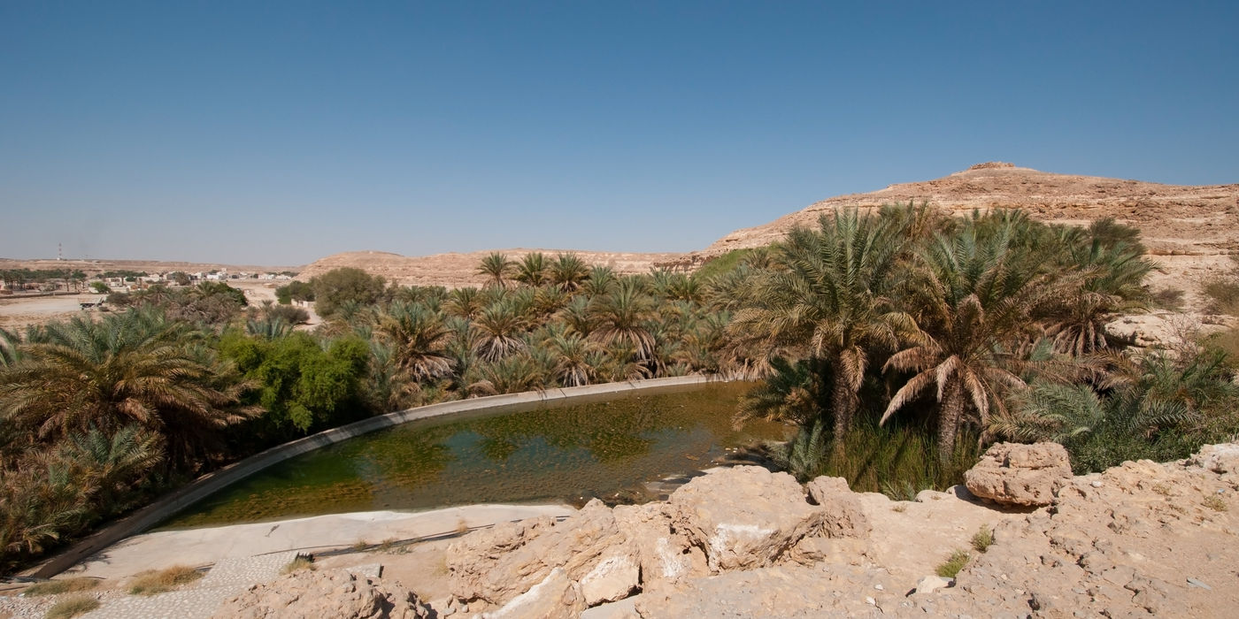 Une oasis entourée de dattiers. © Benny Cottele