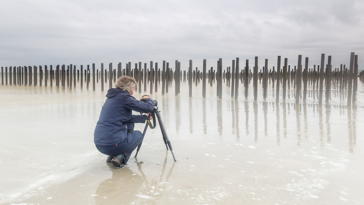 Lage sluiters en verticaliteit. © Johan Van de Watering 