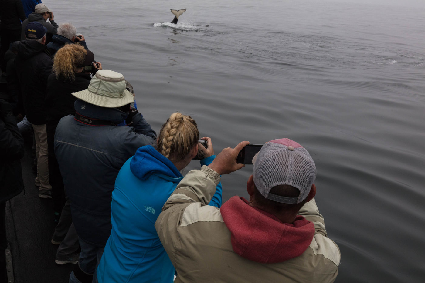 Orka's naast de boot. © Iwan Lewylle