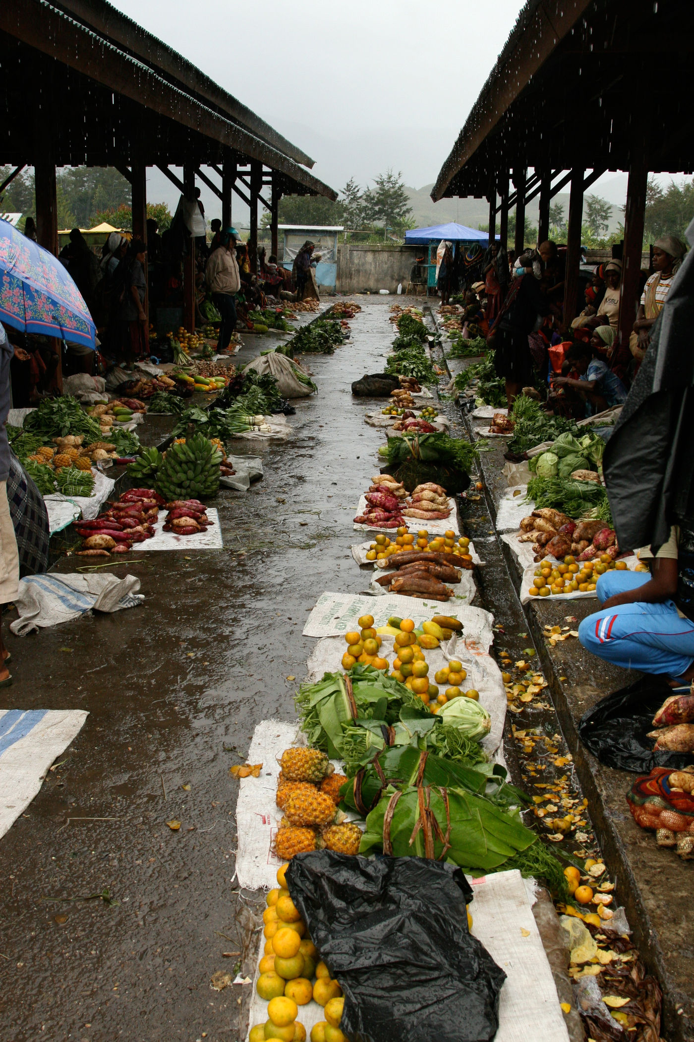 Een lokaal marktje gaat gebukt onder een tropische regenbui. © STARLINGreizen