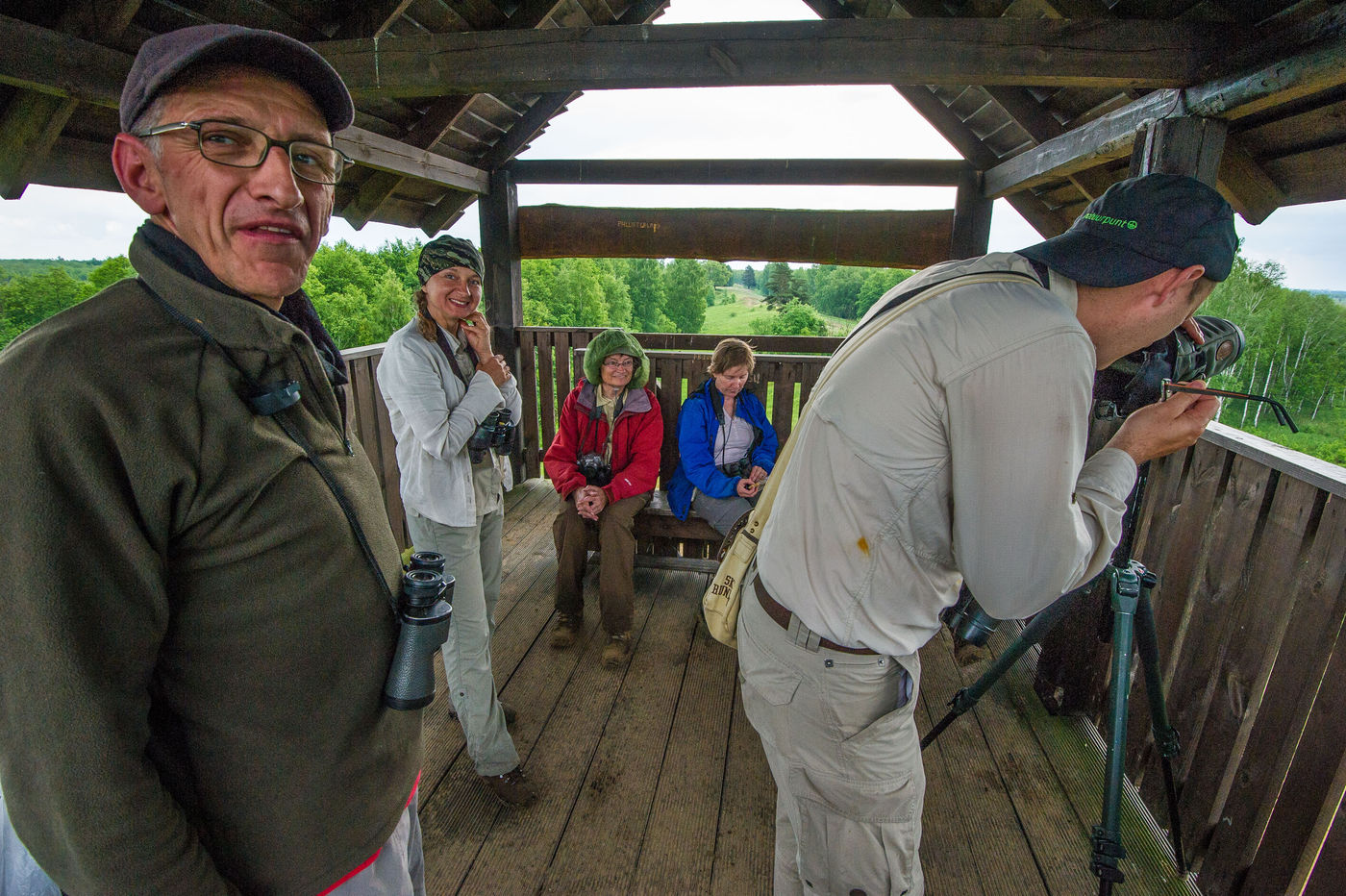 Observation des rapaces