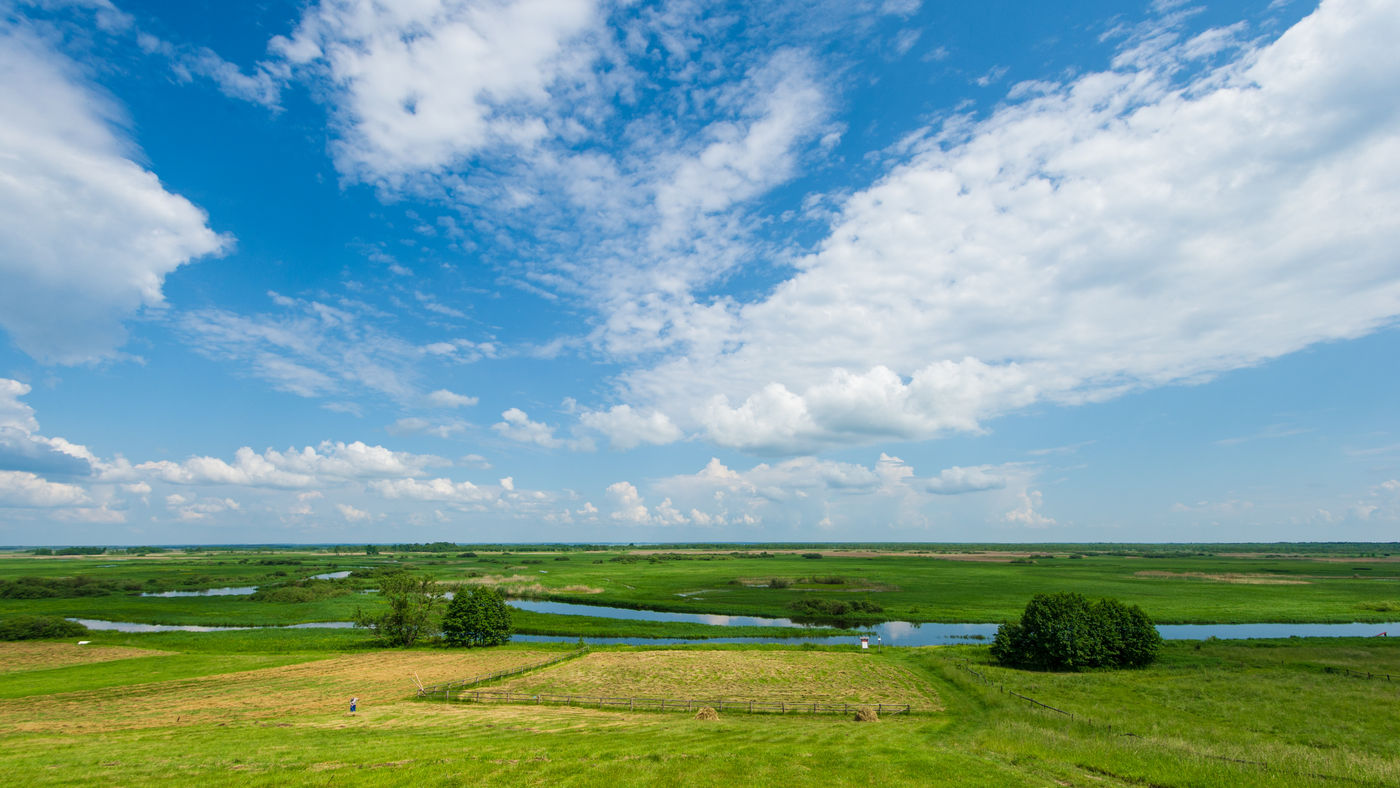 Vue sur la vallée de Biebrza