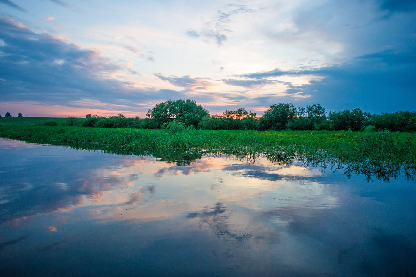 Een sfeerbeeld van de oevervegetatie bij een ondergaande zon. © Billy Herman