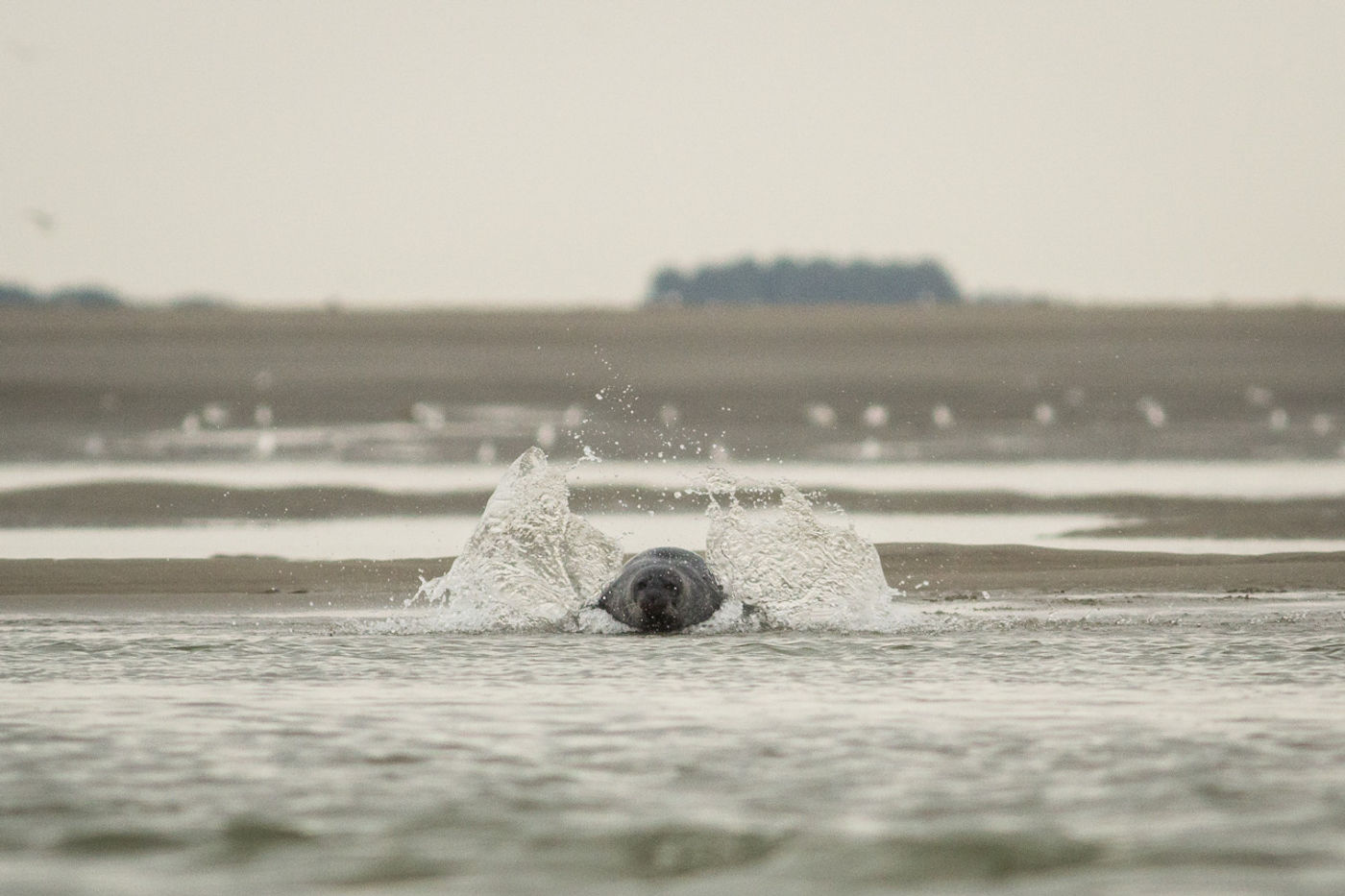 Er wordt heel wat gespetterd. © Jef Pauwels