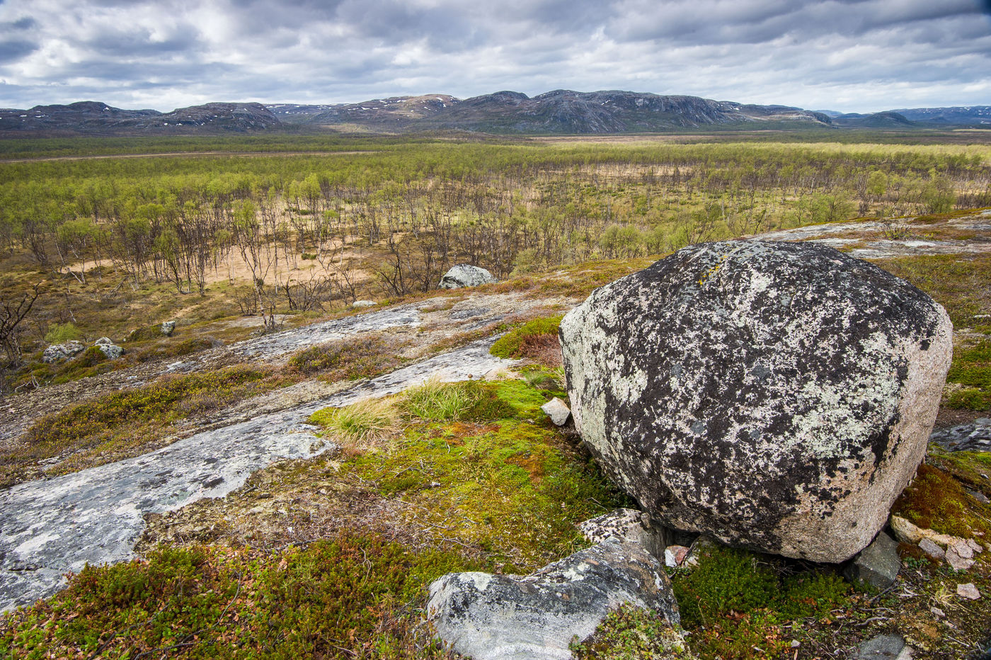 ScandinavieBillyHerman (22 van 73) Een sfeerbeeld van de toendra in Batsfjord. © Billy Herman