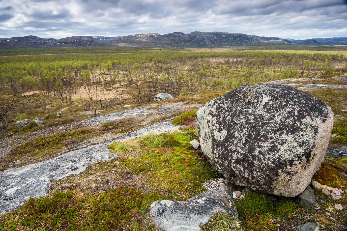 Een sfeerbeeld van de toendra in Batsfjord. © Billy Herman