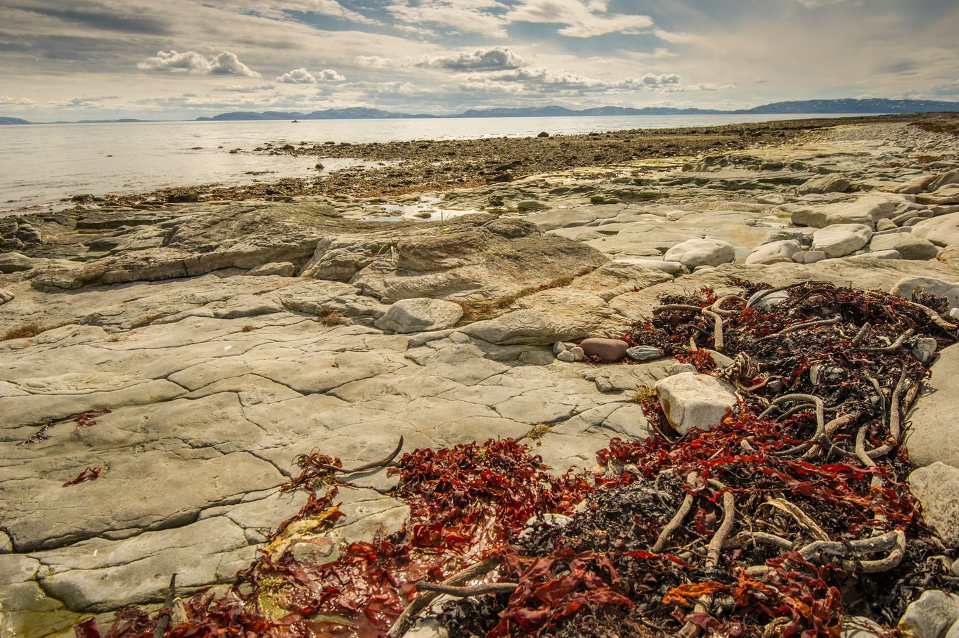 ScandinavieBillyHerman (28 van 73) Een sfeerbeeld van het strand bij Nesseby. © Billy Herman