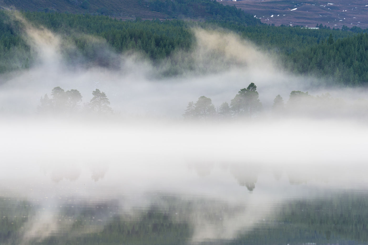 De rivieroever hult zich in een dichte mist. © Bart Heirweg